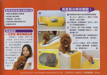 My Pet - HK (June, 2009) 3.jpg
